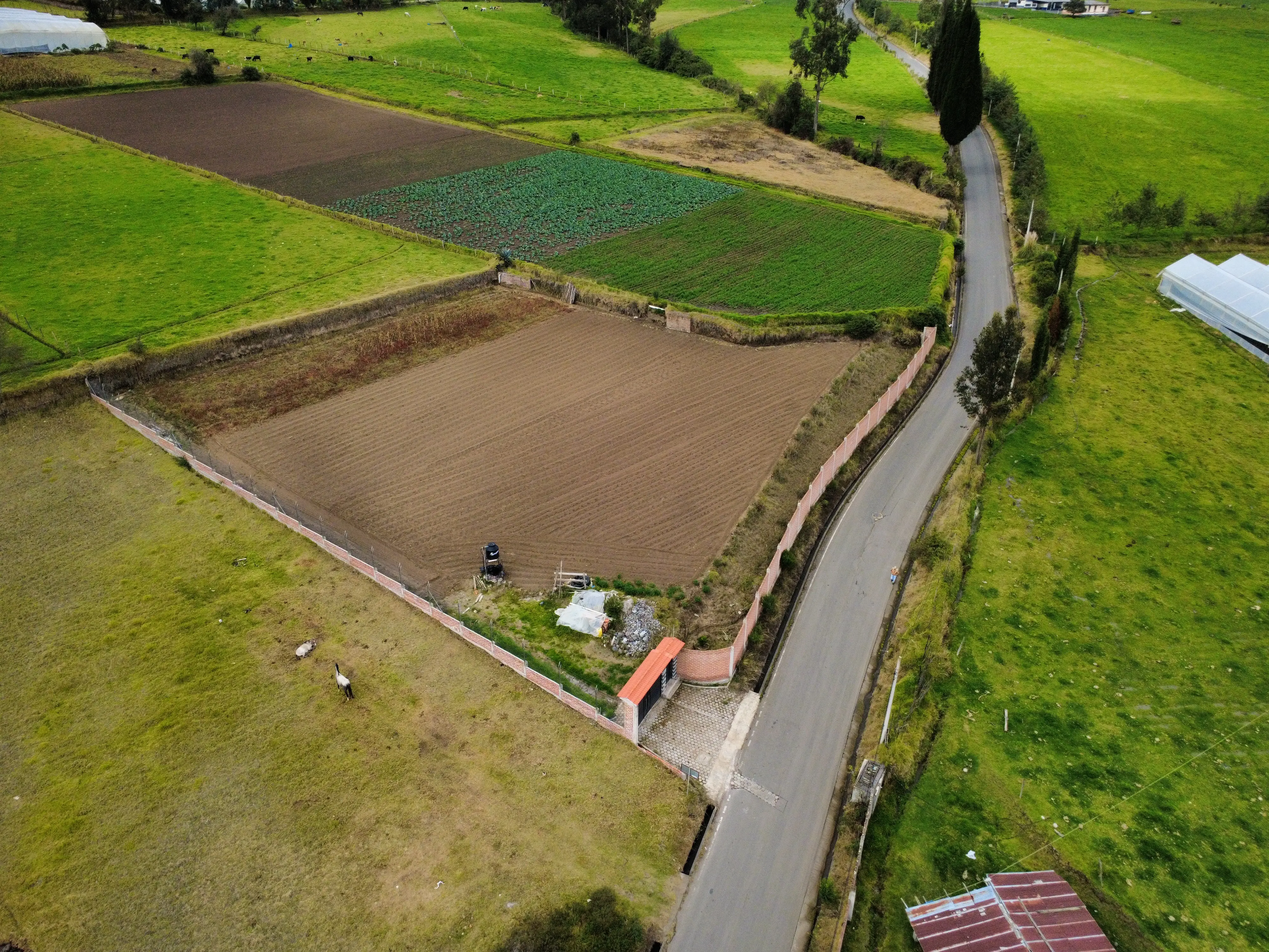 Terreno amurallado de la lotización Chugllín en Chambo, rodeado de campos verdes